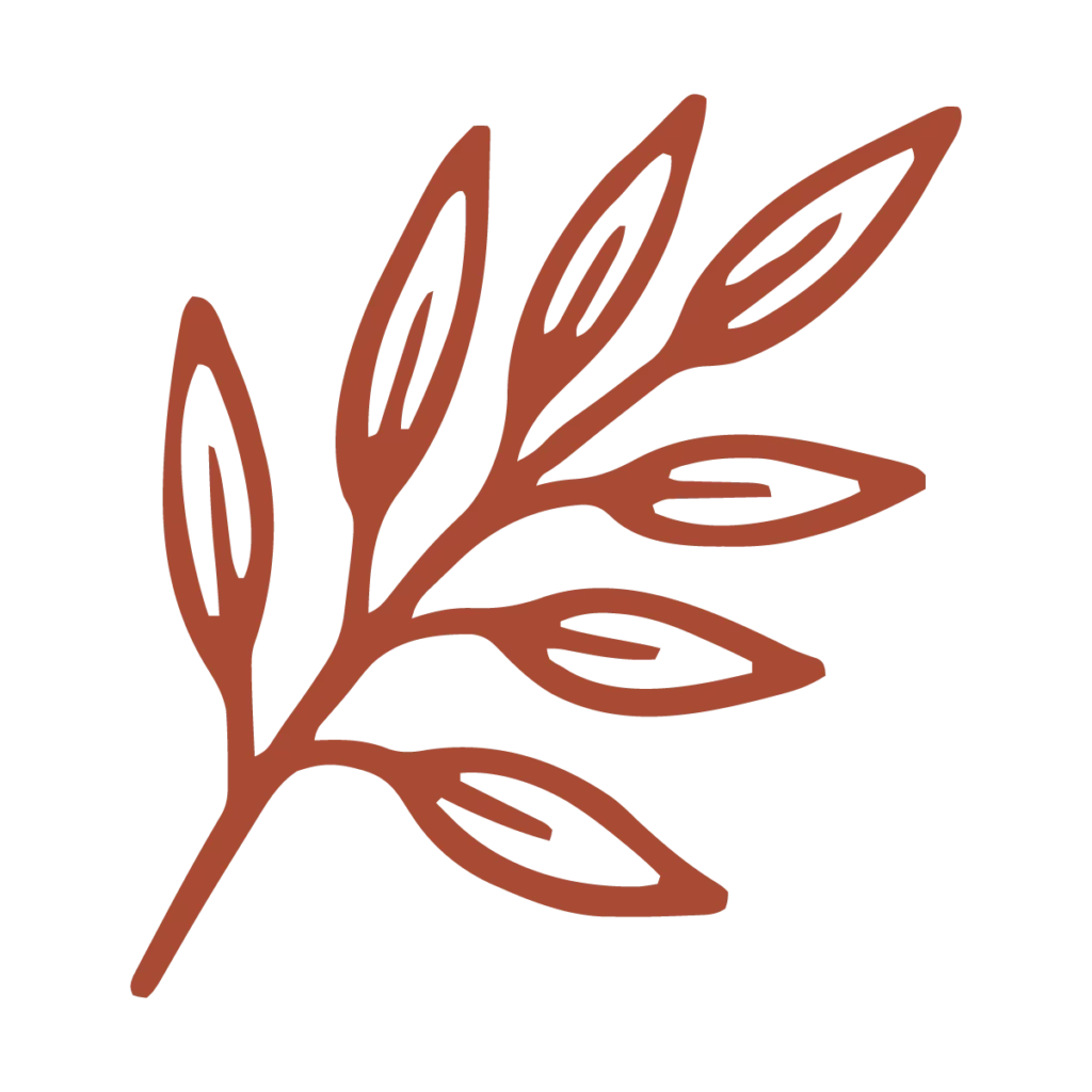 illustration feuille